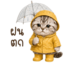 ลายที่ 39