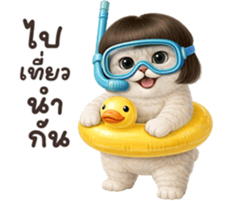 ลายที่ 24