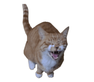 838177155