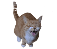 838177157