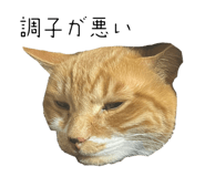 838177168