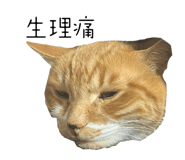 838177170