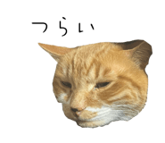 838177171