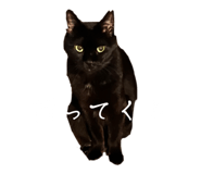 838177177
