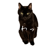 838177178