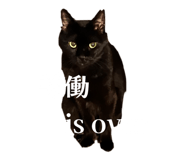 838177179