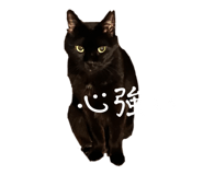 838177181
