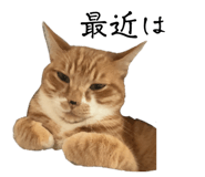 838177183