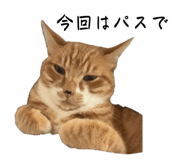 838177188