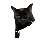838177191