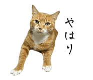 838177192