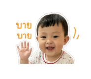 838181912