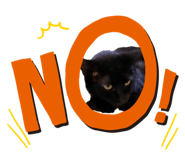838187594