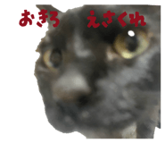 838187619