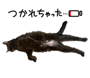 838187629