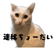 838190643