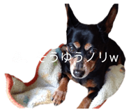 838190653