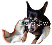 838190662