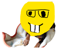 838190663