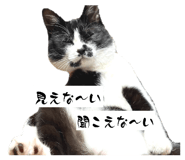 838194883