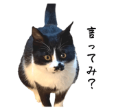 838194886