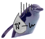 838197474