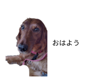838198042
