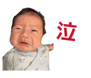 838198065