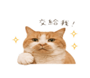 838199116