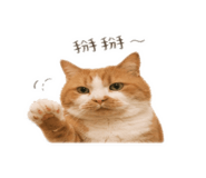 838199117