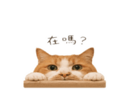 838199118