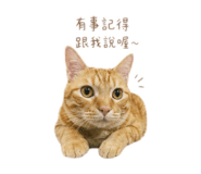 838200194