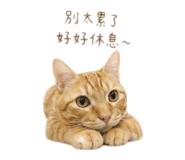 838200196