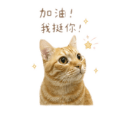 838200197