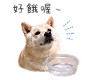 838200220