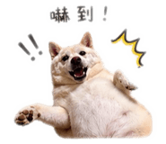 838200223