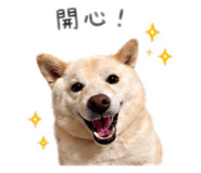 838200224