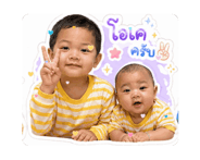 838203527