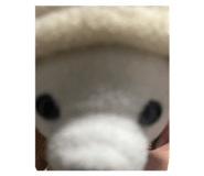 838205056