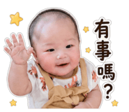 838206798
