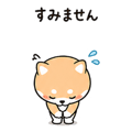 838208148