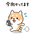 838208154