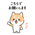 838208156