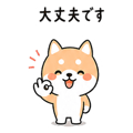 838208161