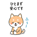 838208166