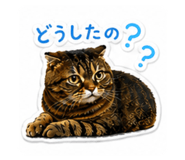 838210523