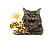 838211761