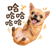838212499