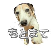 838213330