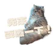 838214945